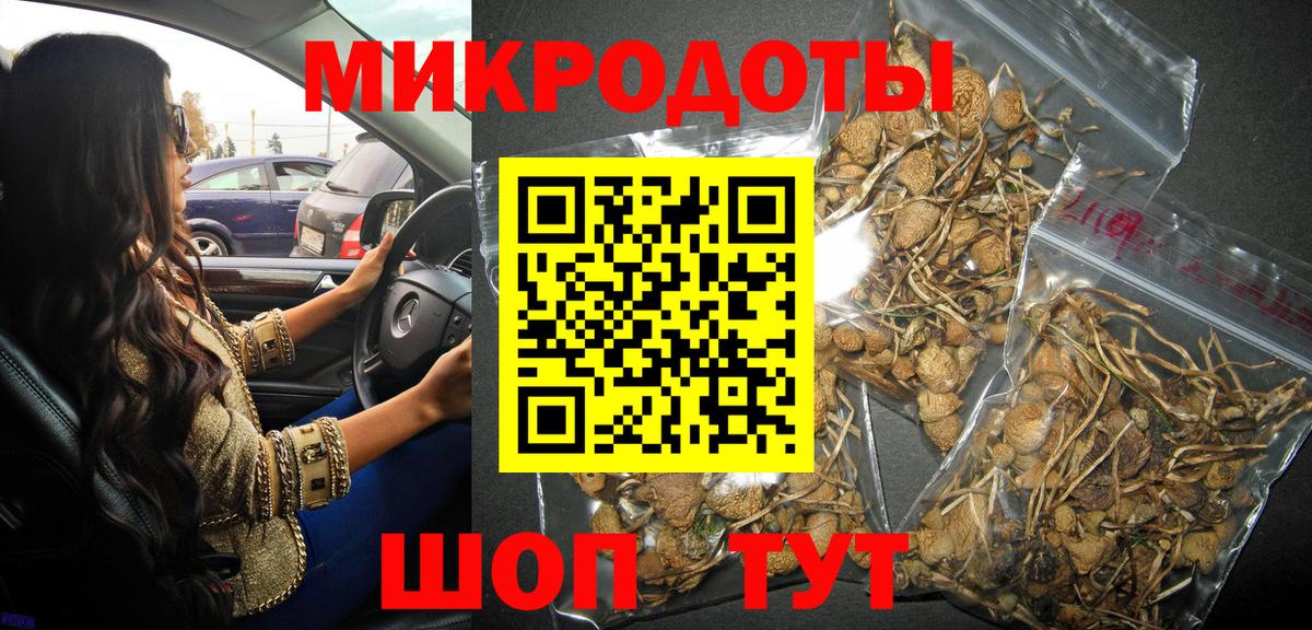 Междуреченск  Псилоцибиновые грибы Psilocybine cubensis  Вход с VPN  Псилоцибиновые грибы Magic Shrooms 